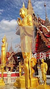 网贷逾期怎么会冻结信用卡 网贷逾期怎么会冻结信用卡