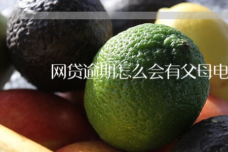 网贷逾期怎么会有父母电话 网贷逾期怎么会有父母电话