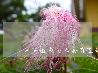 网贷逾期怎么会有通讯录
