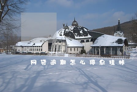 网贷逾期怎么停息挂帐 网贷逾期怎么停息挂帐