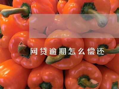 网贷逾期怎么偿还