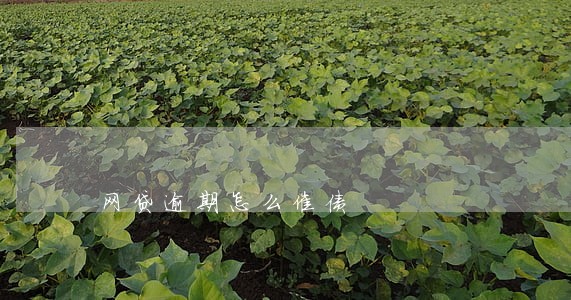 网贷逾期怎么催债 网贷逾期怎么催债