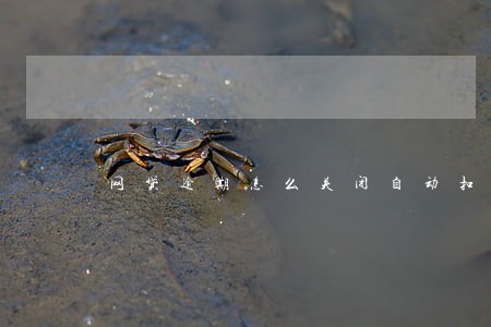 网贷逾期怎么关闭自动扣款 网贷逾期怎么关闭自动扣款