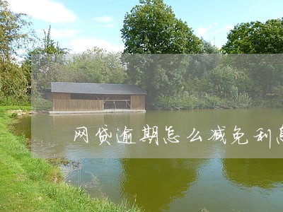 网贷逾期怎么减免利息吗 网贷逾期怎么减免利息吗