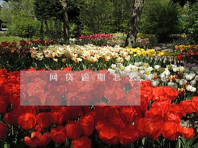 网贷逾期怎么减息 网贷逾期怎么减息