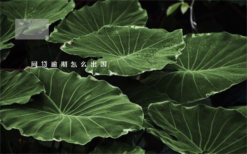 网贷逾期怎么出国 网贷逾期怎么出国