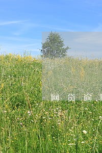 网贷逾期怎么利息怎么算 网贷逾期怎么利息怎么算