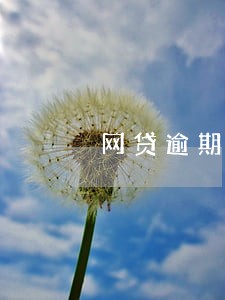 网贷逾期怎么办1717 网贷逾期怎么办1717
