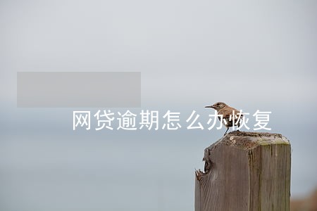 网贷逾期怎么办恢复 网贷逾期怎么办恢复