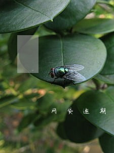 网贷逾期怎么办轰炸 网贷逾期怎么办轰炸