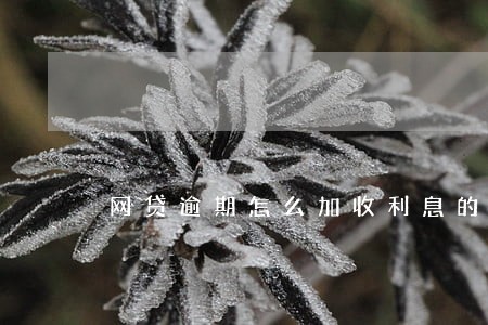 网贷逾期怎么加收利息的 网贷逾期怎么加收利息的