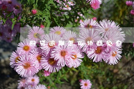 网贷逾期怎么协商免息 网贷逾期怎么协商免息