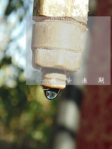 网贷逾期怎么协商本金 网贷逾期怎么协商本金