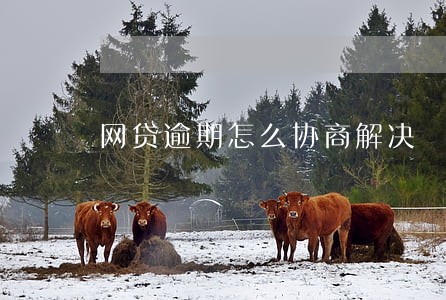 网贷逾期怎么协商解决 网贷逾期怎么协商解决