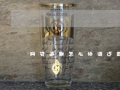 网贷逾期怎么协调还款