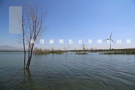 网贷逾期怎么发微信和朋友说 网贷逾期怎么发微信和朋友说