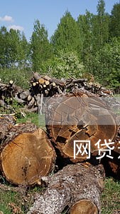 网贷逾期怎么和家人说 网贷逾期怎么和家人说
