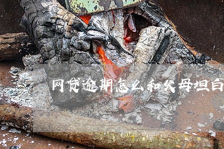 网贷逾期怎么和父母坦白 网贷逾期怎么和父母坦白