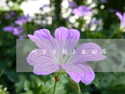 网贷逾期怎么回答 网贷逾期怎么回答