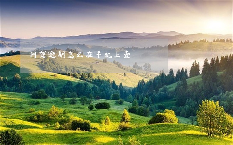 网贷逾期怎么在手机上查 网贷逾期怎么在手机上查