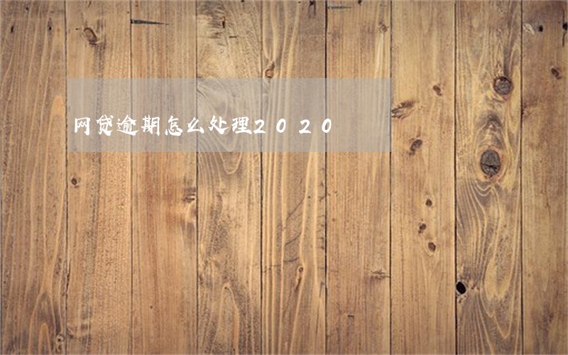 网贷逾期怎么处理2020