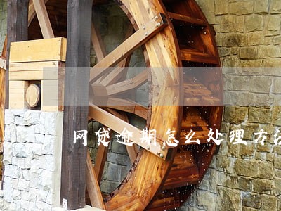 网贷逾期怎么处理方法 网贷逾期怎么处理方法