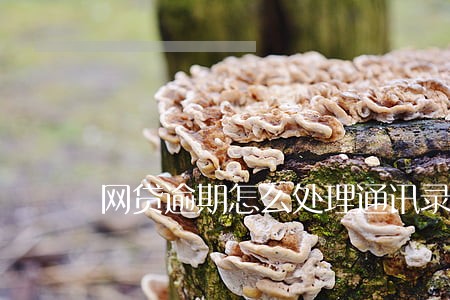 网贷逾期怎么处理通讯录 网贷逾期怎么处理通讯录