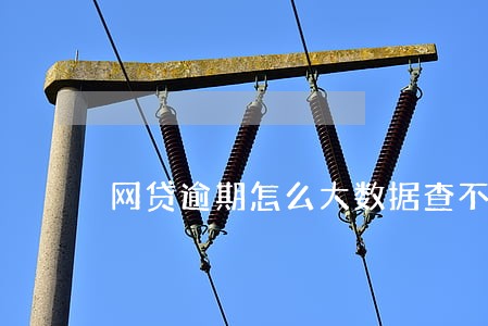 网贷逾期怎么大数据查不到呢 网贷逾期怎么大数据查不到呢
