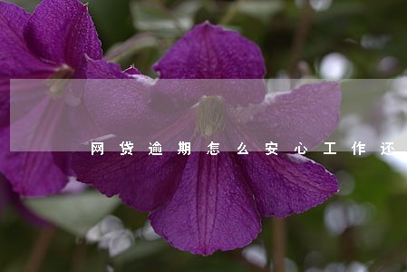 网贷逾期怎么安心工作还钱