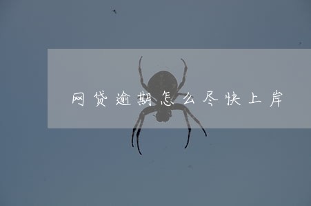 网贷逾期怎么尽快上岸 网贷逾期怎么尽快上岸