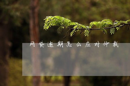 网贷逾期怎么应对仲裁 网贷逾期怎么应对仲裁