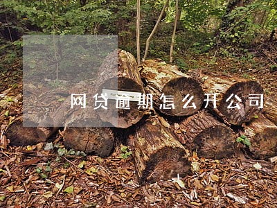 网贷逾期怎么开公司 网贷逾期怎么开公司