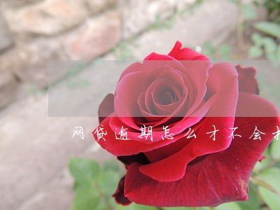 网贷逾期怎么才不会打我通讯录 网贷逾期怎么才不会打我通讯录