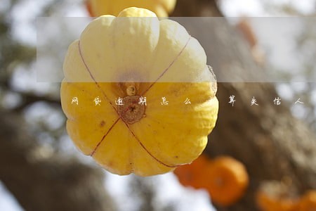 网贷逾期怎么才算失信人 网贷逾期怎么才算失信人