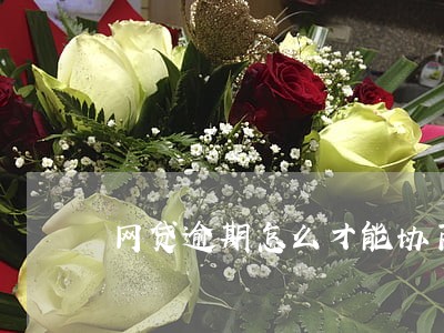 网贷逾期怎么才能协商 网贷逾期怎么才能协商