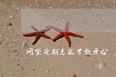 网贷逾期怎么才能开心 网贷逾期怎么才能开心