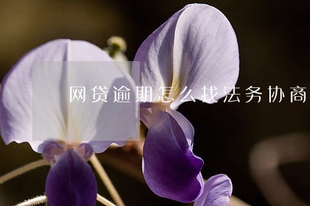 网贷逾期怎么找法务协商 网贷逾期怎么找法务协商