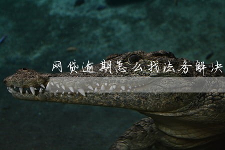 网贷逾期怎么找法务解决 网贷逾期怎么找法务解决