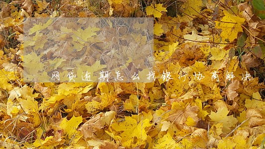 网贷逾期怎么找银行协商解决 网贷逾期怎么找银行协商解决