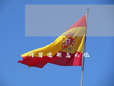 网贷逾期怎么抗 网贷逾期怎么抗