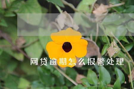 网贷逾期怎么报警处理 网贷逾期怎么报警处理
