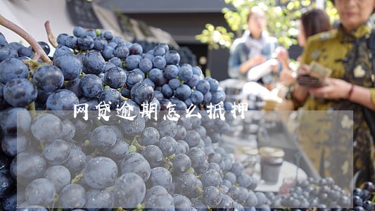 网贷逾期怎么抵押 网贷逾期怎么抵押