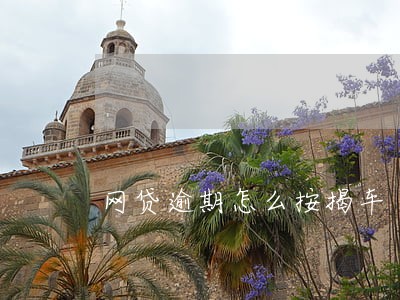 网贷逾期怎么按揭车 网贷逾期怎么按揭车