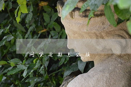 网贷逾期怎么换