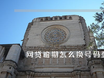 网贷逾期怎么换号码登陆 网贷逾期怎么换号码登陆