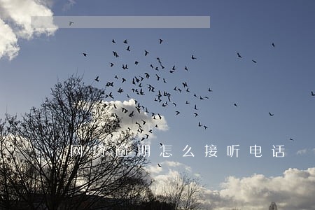 网贷逾期怎么接听电话 网贷逾期怎么接听电话