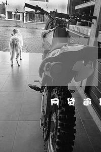 网贷逾期怎么接电话 网贷逾期怎么接电话
