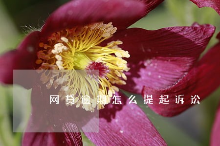网贷逾期怎么提起诉讼 网贷逾期怎么提起诉讼