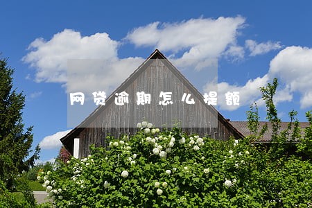 网贷逾期怎么提额 网贷逾期怎么提额