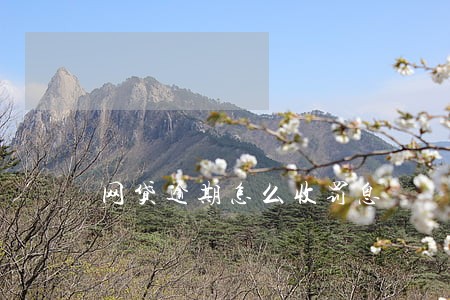 网贷逾期怎么收罚息 网贷逾期怎么收罚息